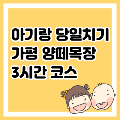 아기랑 당일치기 가평 양떼목장 3시간 코스