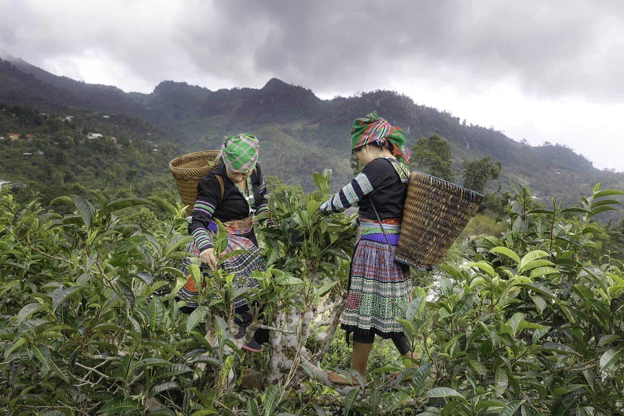 코르시카 섬의 주민들이 지키는 고유 언어와 풍습