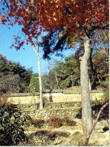 담양 소쇄원 입장료·운영시간·주변 관광 정보