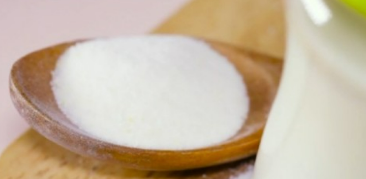 BNR17 유산균 추천