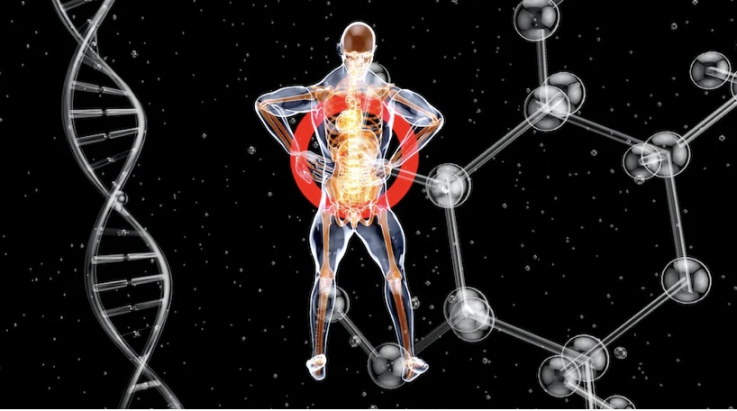 말기신부전증의 모든것