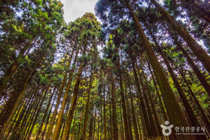 2025 해돋이 명소 추천&amp;#44; 일출 시간 