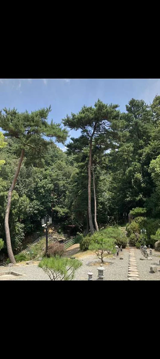 별밤 야영장 글램핑