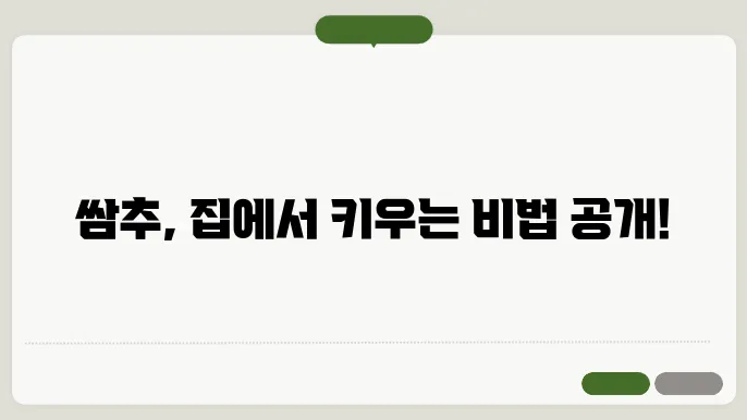 쌈추 씨앗 파종시기 재배 및 쌈추 요리 알아보기