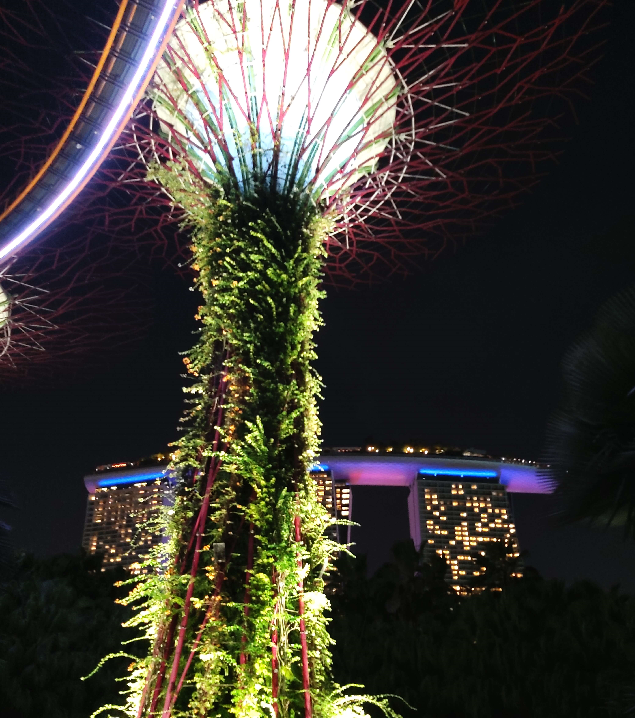 가든스 베이더 베이 야간 슈퍼트리쇼와 마리나 베이샌즈 호텔 야경