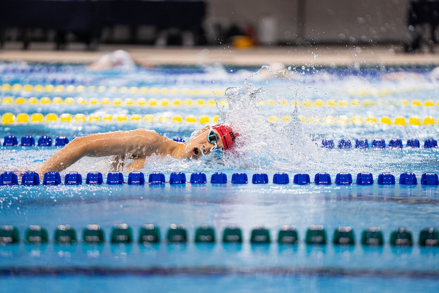 더보기 제54회 경남 전국소년체육대회 성황리 종료 &ndash; 경기 결과&middot;다음 대회 일정 