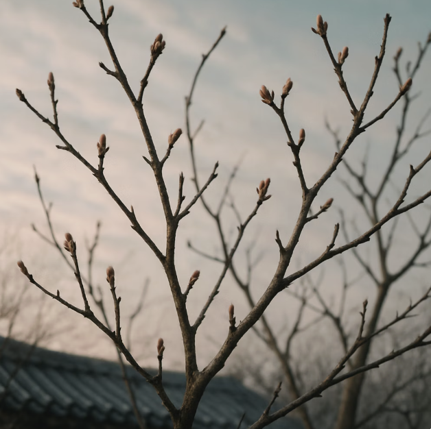 가지치기 최악의 시기, '이른 봄'