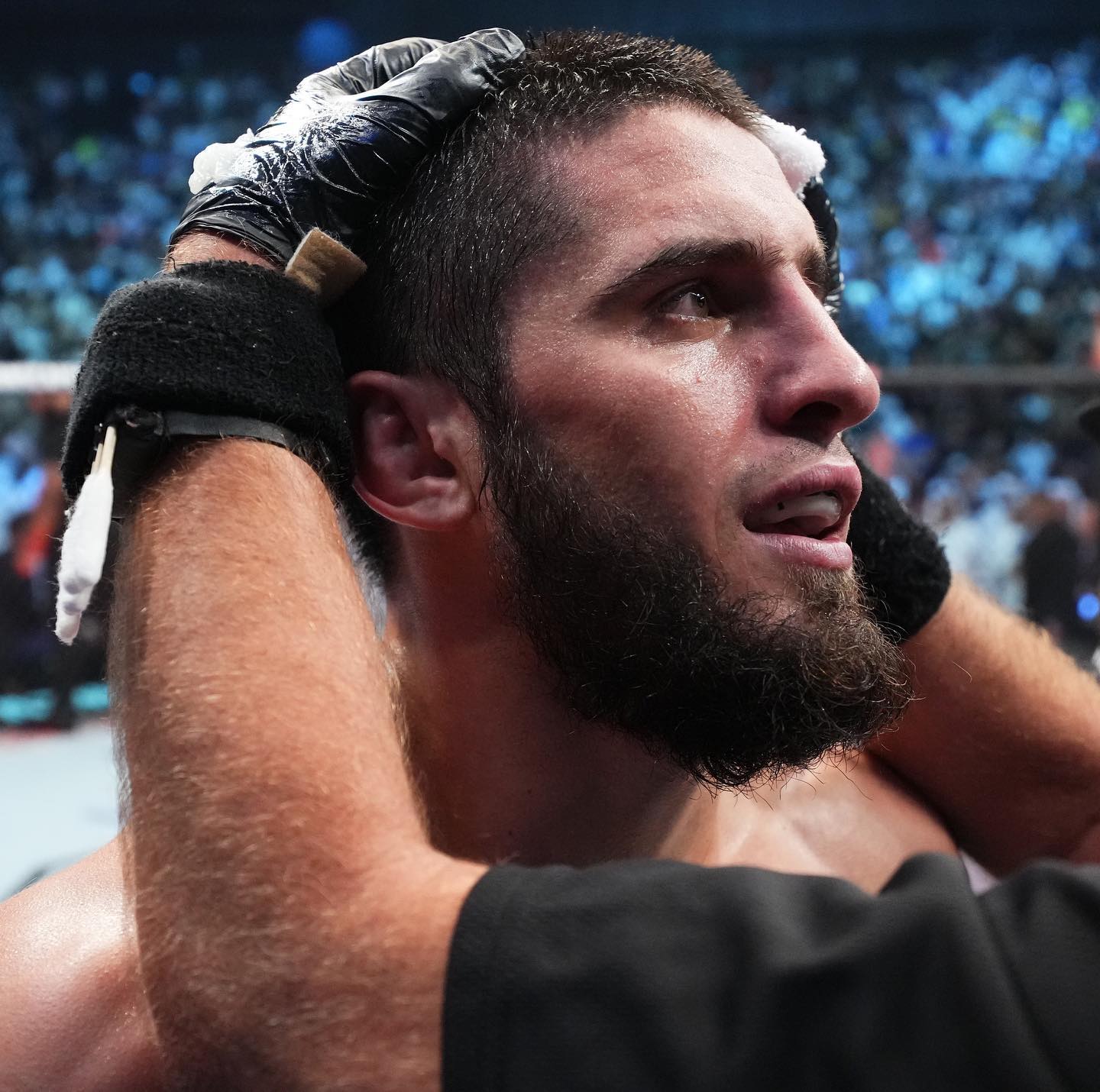 라이트급 챔피언 마카체프