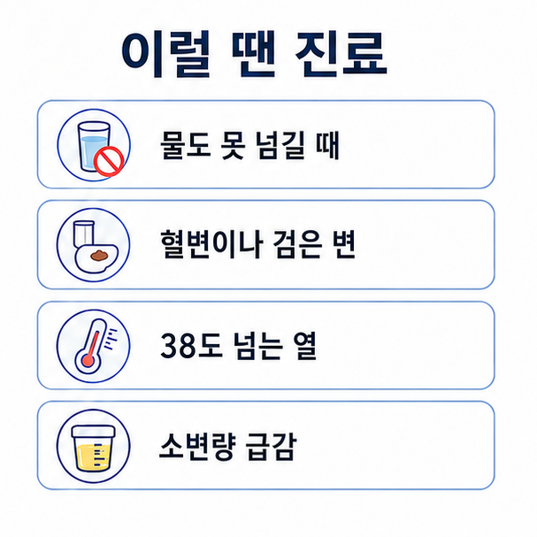 장염으로 진료가 필요한 신호, 물도 못 넘길 때와 혈변, 고열, 소변량 감소를 정리한 체크리스트