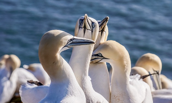토지대장 무료열람 방법 10