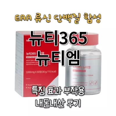 뉴티365 뉴티엠 특징 효과 내돈내산 후기 정리(류신 단백질 합성)