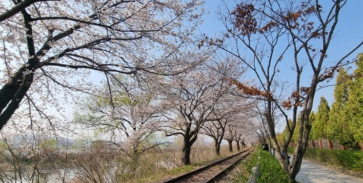 의왕 왕송호수와 레일바이크