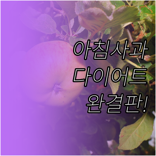 사과 다이어트 식단 구성과 아침 저녁..