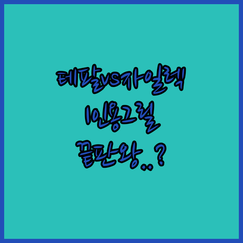 자취생 1인용 미니 전기그릴 추천 테..