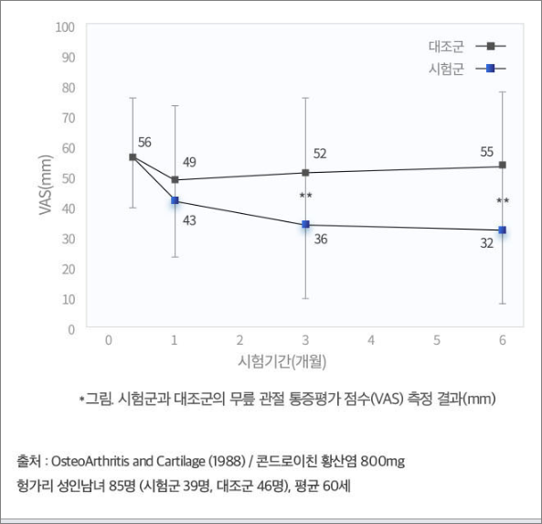 관절통증 평가점수