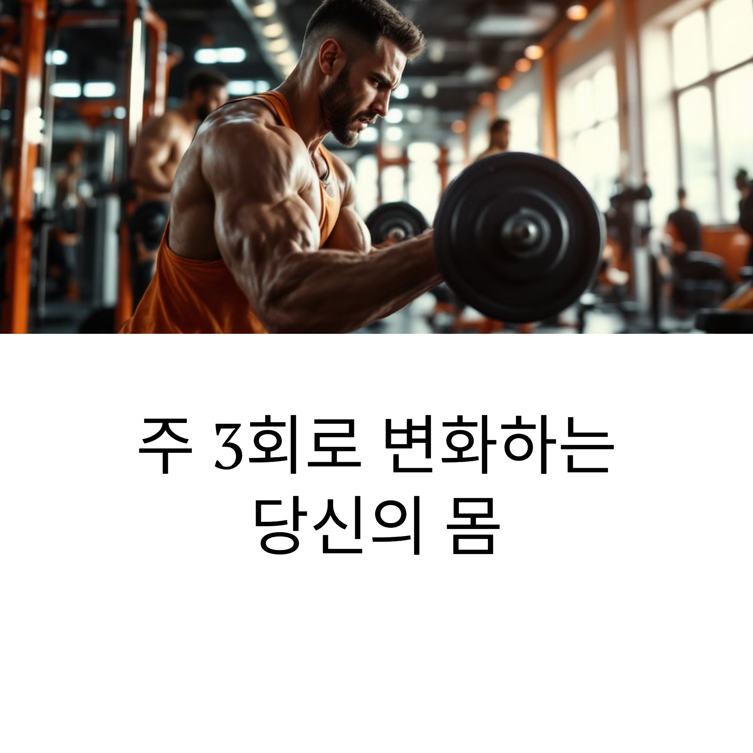 주 3회 근력 운동 루틴