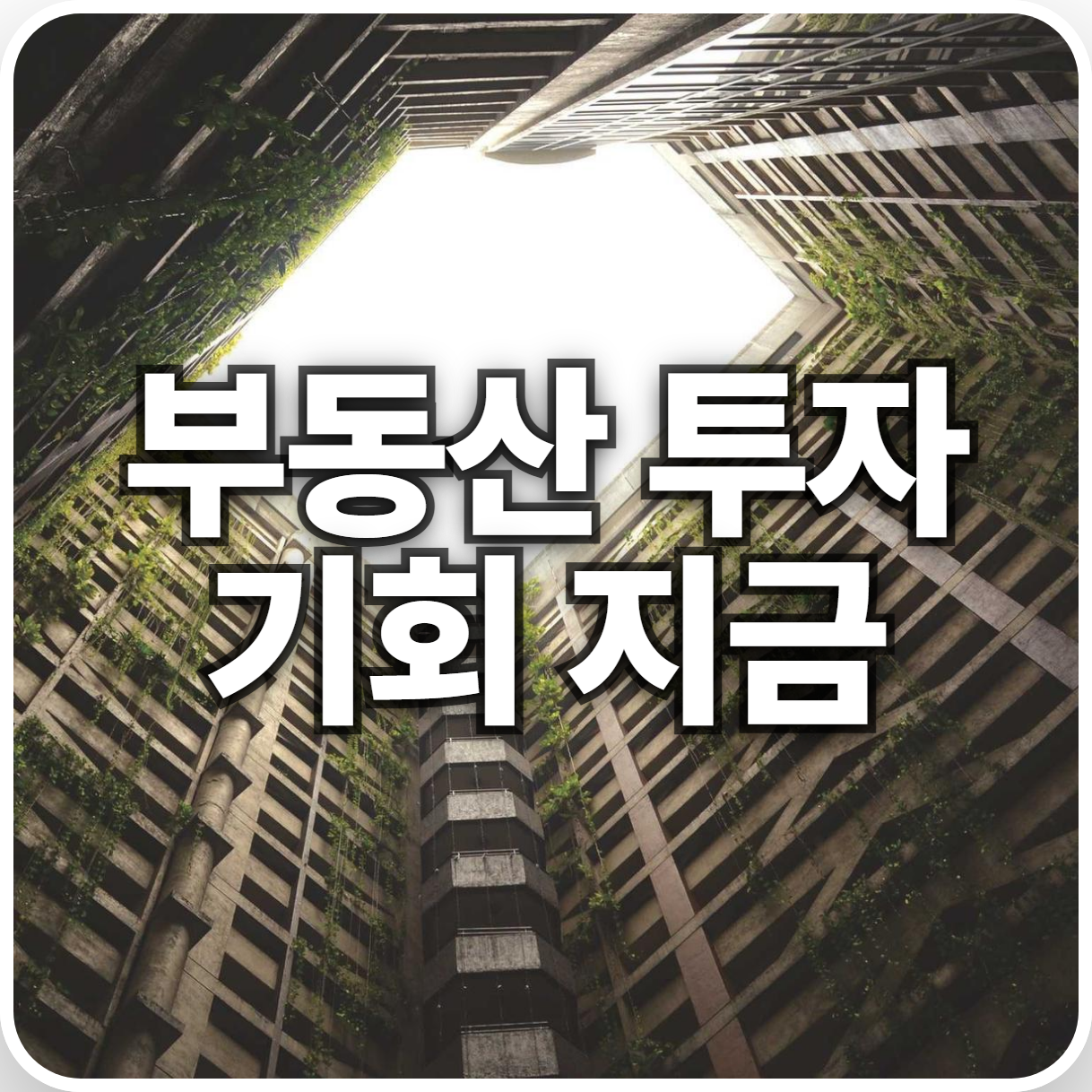 부동산 투자, 올해 기회는 바로 여기! 전문가가 알려주는 핵심 투자 전략