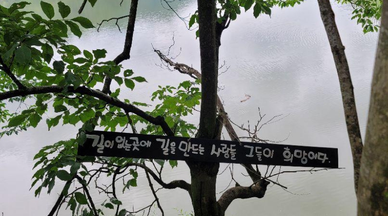 옥천/핫플레이스/대청호/천상의/정원/수생학습식물원