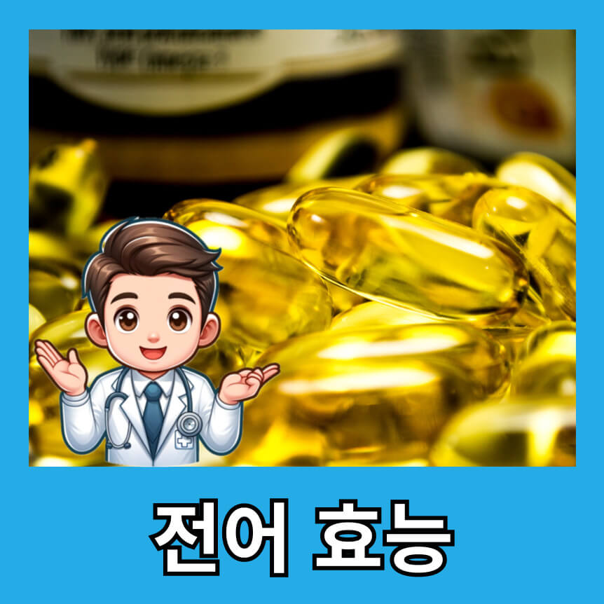 전어의 효능