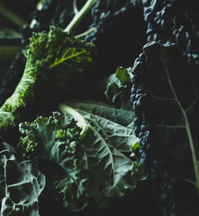 통풍에 좋은 음식 영양제 식단