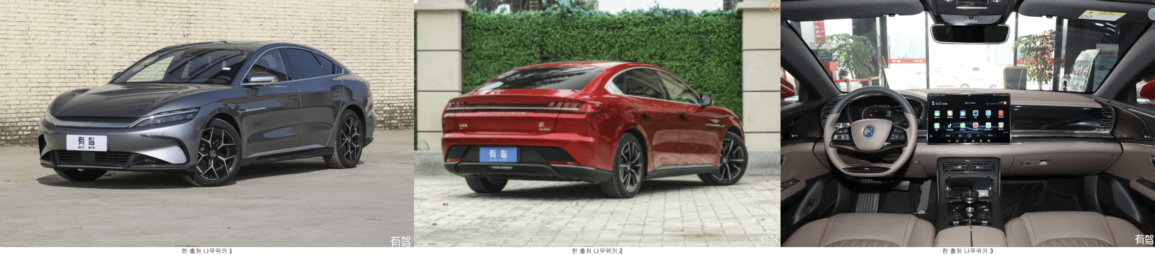 BYD 한