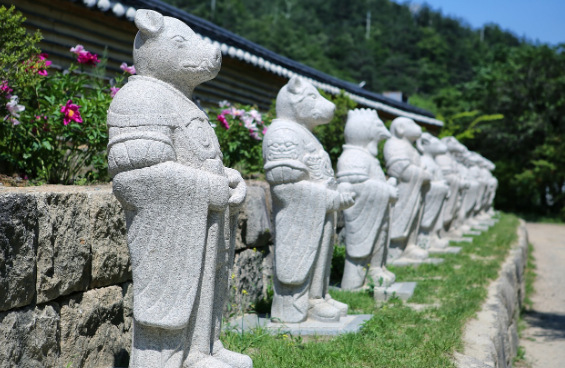 2025년 삼재띠 및 삼재에 대처하는 피하가는 방법