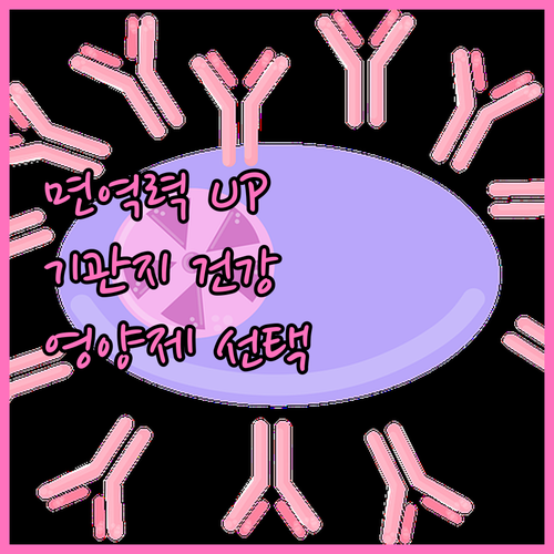 면역력 높여 기관지 건강 지키는 영양..