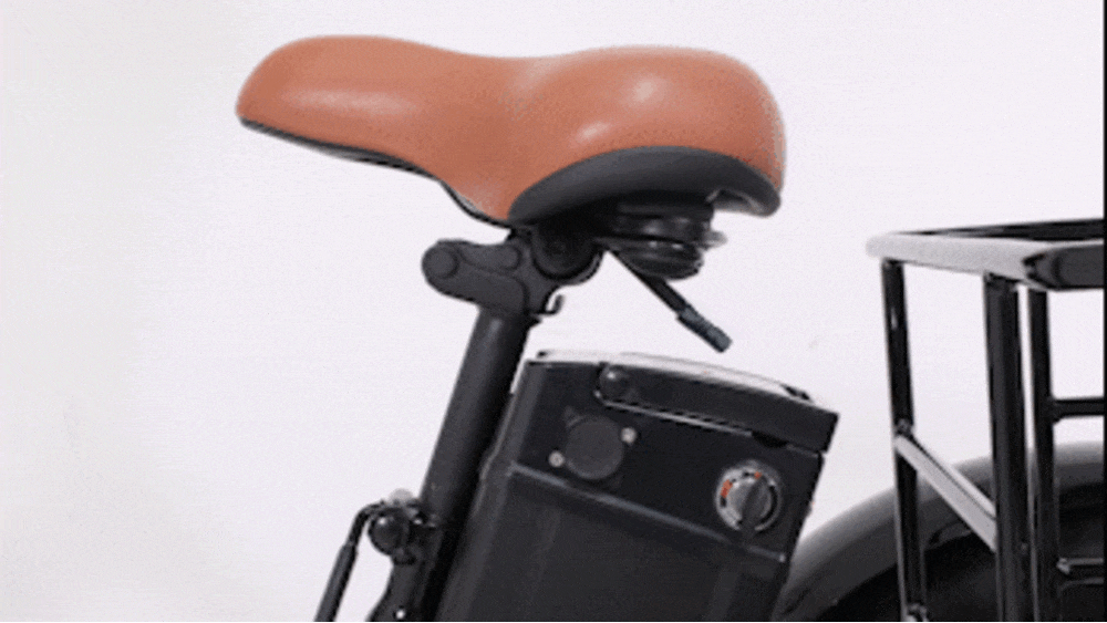 세발 전기자전거 스카닉 트라이크 - 어버이날 선물 추천