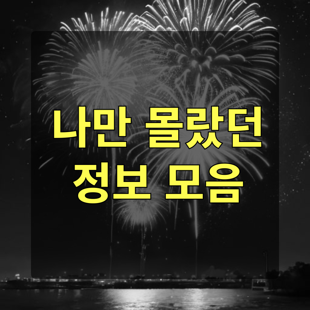 나만몰랐던정보