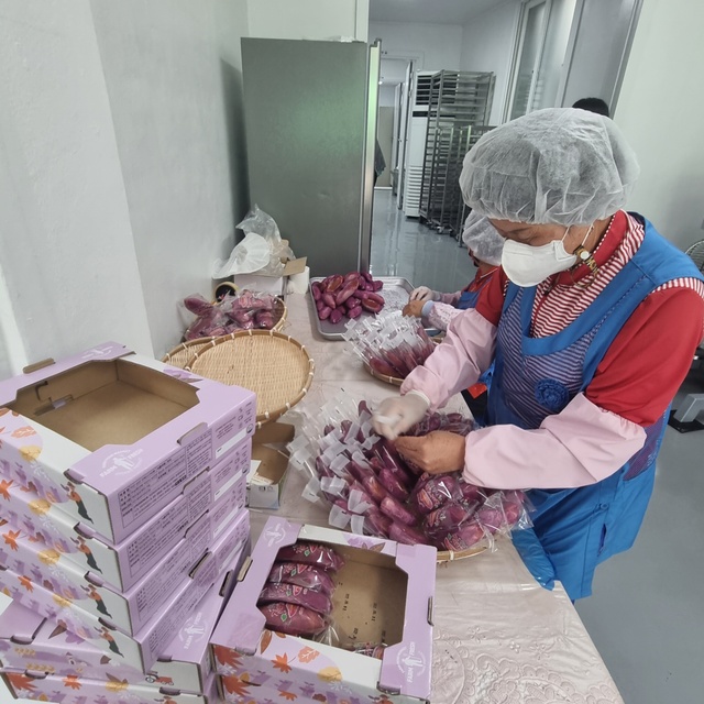 6시내고향 전북 익산 익산의 특산품 고구마를 이용한 진짜 고구마빵 파는 곳 전국 택배 으뜸농장 온라인 전화 주문 추천