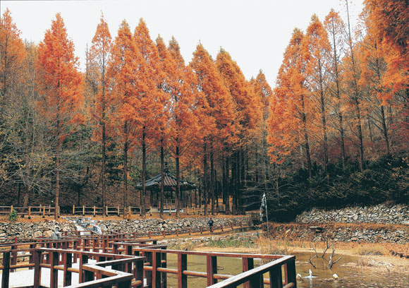 장태산 자연휴양림 예약 