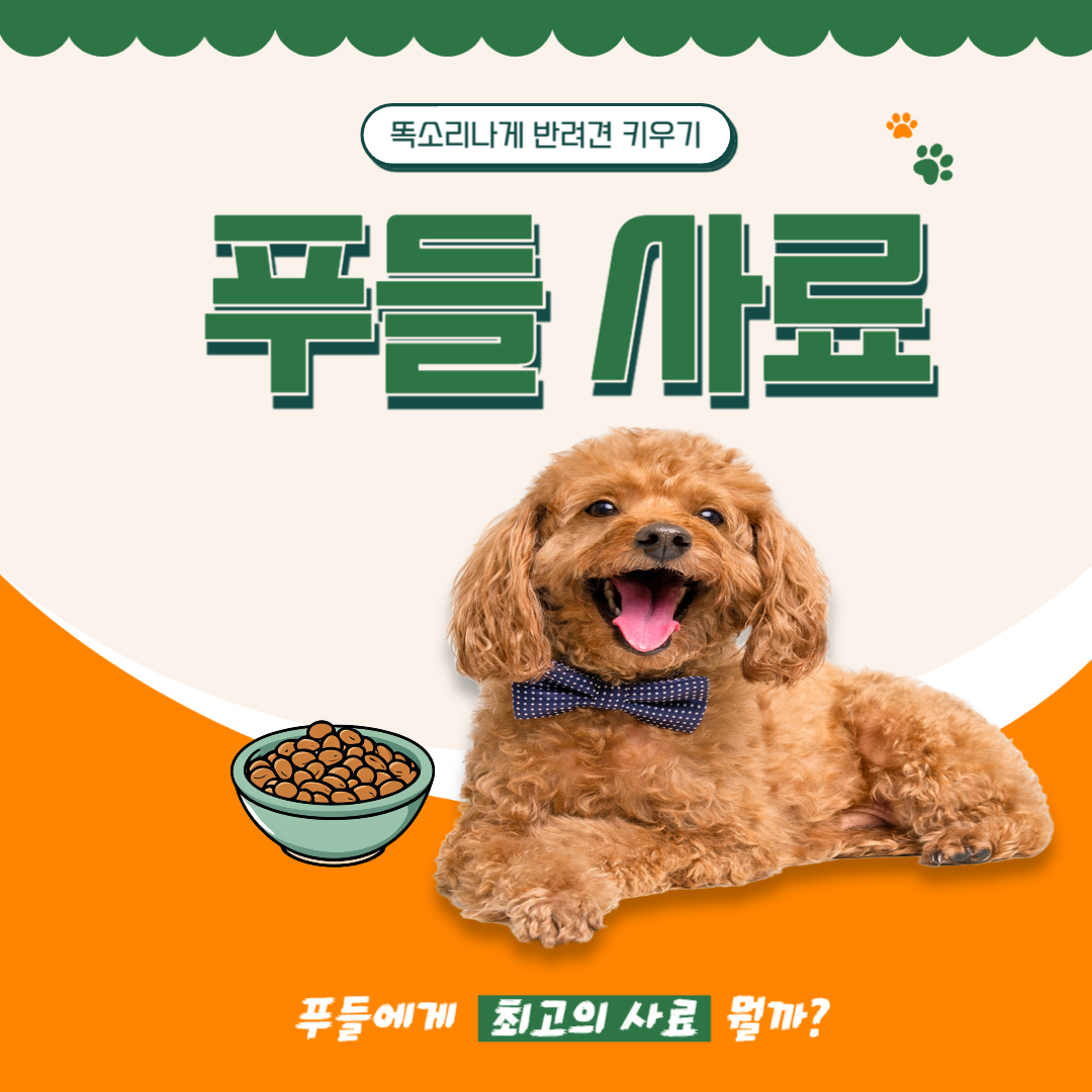 푸들 사료 어떤게 좋을까