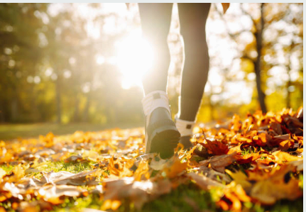 환절기 대비 50대 면역력 강화법 (2025년 기준)