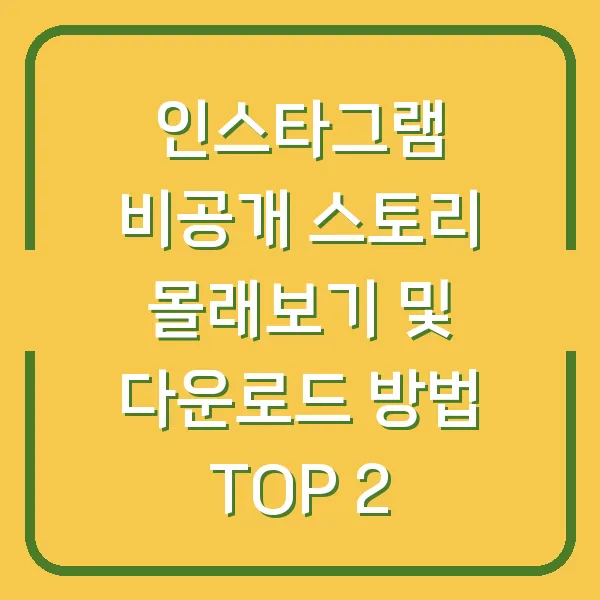 인스타그램 비공개 스토리 몰래보기 및 다운로드 방법 TOP 2