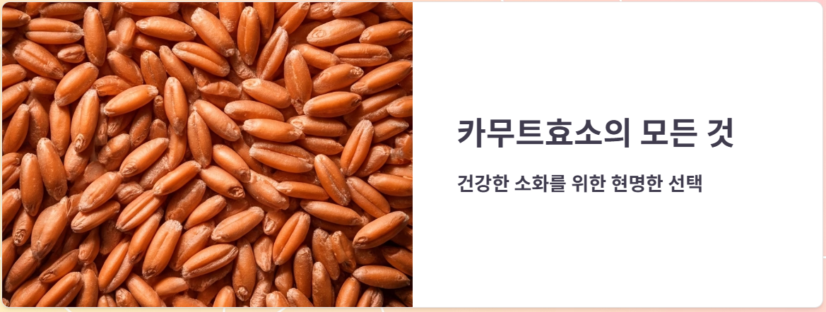 카무트효소 효능 효과, 부작용, 가격, 후기 총정리!