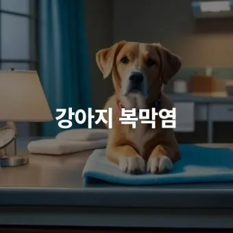 강아지 복막염 원인과 치료 방법_4