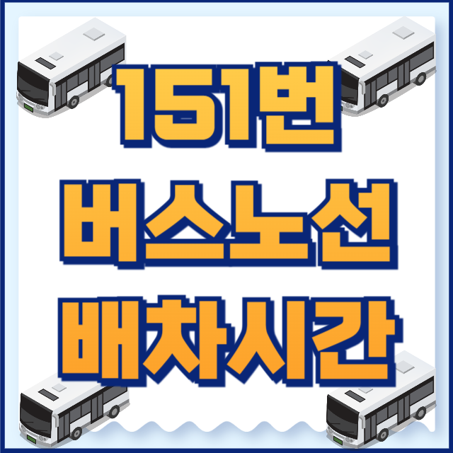 151번버스