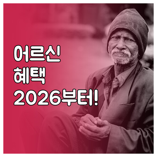 어르신 스포츠 상품권 2026년부터 ..