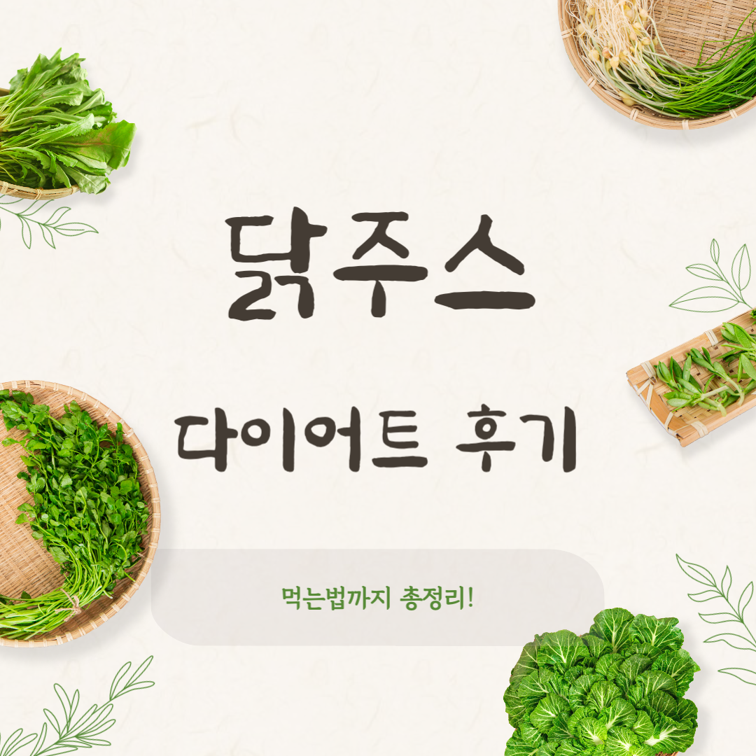 닭주스 다이어트 후기