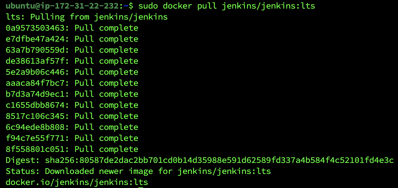 jenkins docker image download