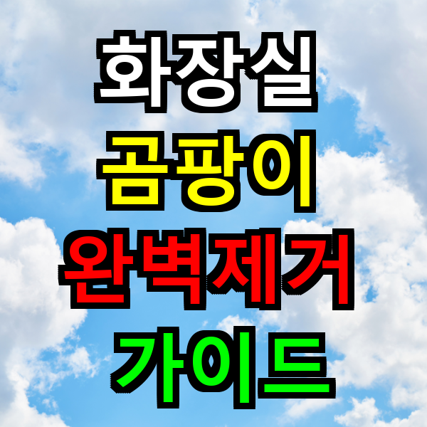 화장실 곰팡이 완벽 제거 가이드