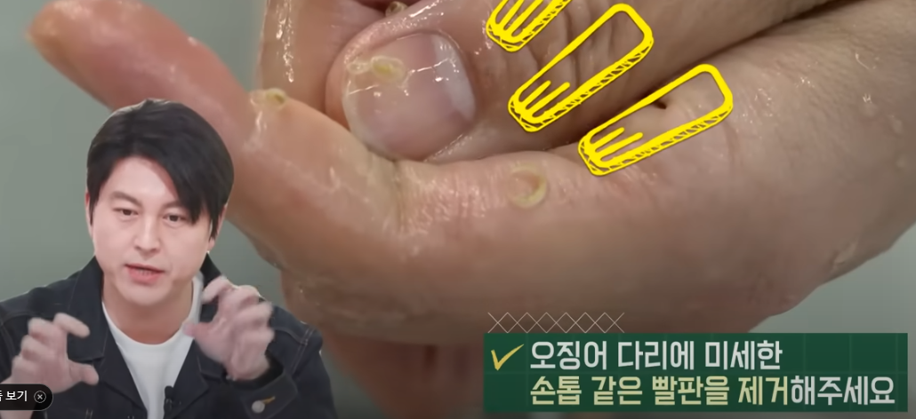 편스토랑 류수영 오징어볶음 재료 준비4