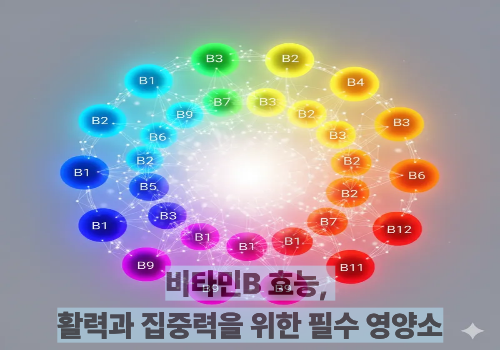 비타민B 효능, 활력과 집중력을 위한 필수 영양소