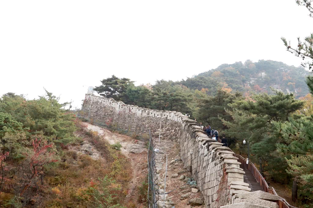 1코스 초입부터 펼쳐지는 가파른 계단 구간 전경.