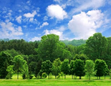 지브리 스타일 사진 변환 무료 유료