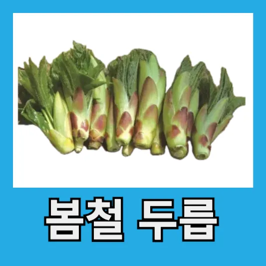 "봄철 두릅 엄나무순"