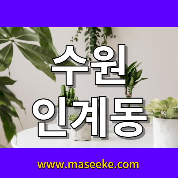 수원 인계동 마사지