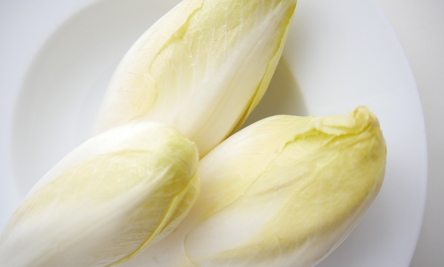 황달에 좋은 음식 치커리