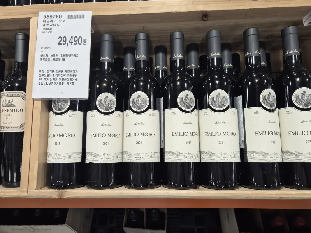 에밀리오 모로 뎀쁘라니요