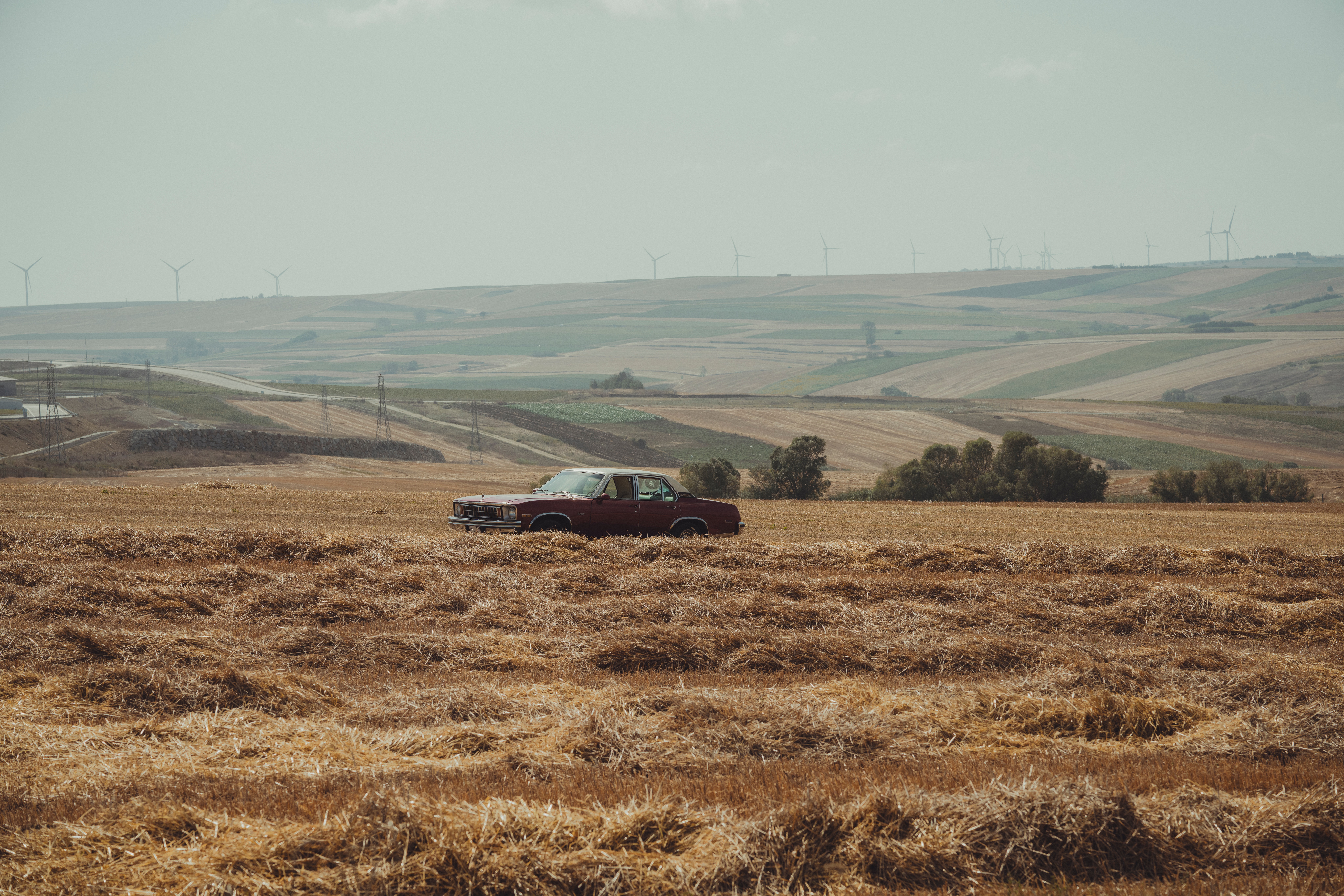 자동차 과태료 간편 조회 방법